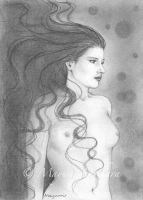 Shadow Dreams
